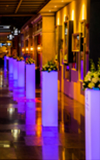 百得利之星奔驰年度客户答谢会